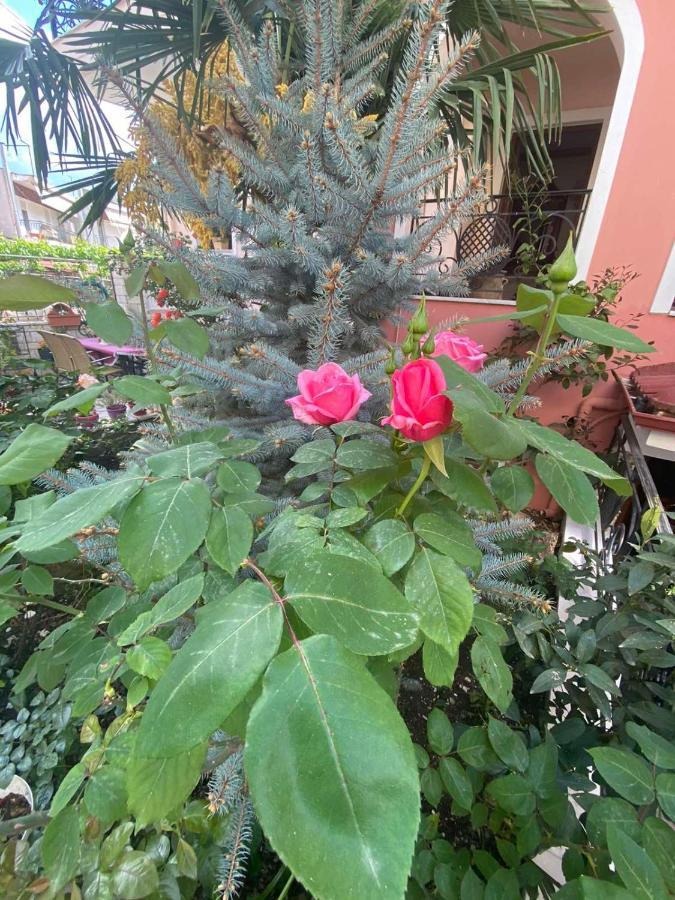 Appartement In The Castle Ii- House Ioannina